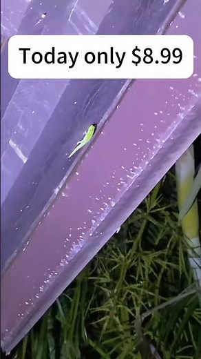 Versatile Multi-Color Tactical Flashlight Review: Perfect for Camping and Emergencies