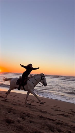 Maren Tschinkel on Instagram: "How do I describe this feeling to people who don’t ride horses?"