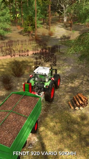Making osb boards and wood pellets | Lipinki | Farming Simulator 25 #farmingsimulator25