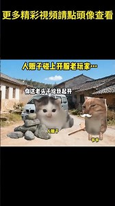#猫meme #搞笑 #表情包 #貓meme #貓貓最可愛