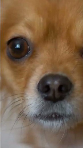 The Mysterious Door, Toddlers Bedtime Stories, Sleepy Bedtime Stories for Children