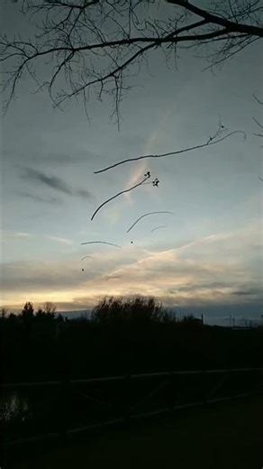 #sunset #landart #skulpture bernardofaustino.com