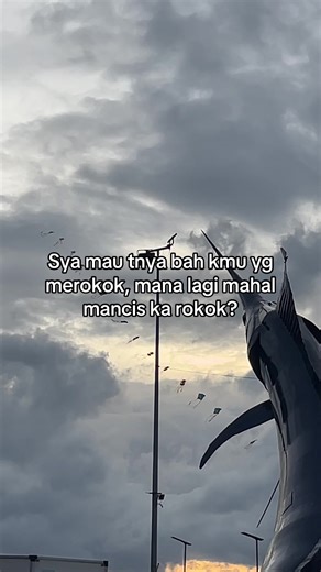 Understanding the Cost of Lighters vs Cigarettes