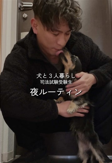 夜ルーティン🌙 「おかえり」より「ボール命」 今日はトレオフでした🐾 #犬と3人暮らし #カニンヘンダックス #司法試験受験生