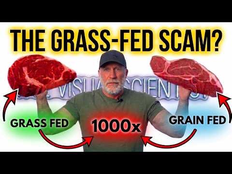 Grass-Fed Steak vs Grain-Fed | The Microscope Doesn't Lie!