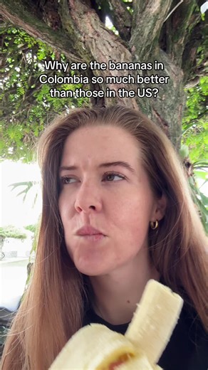 Why Colombian Bananas Taste Better than US Bananas