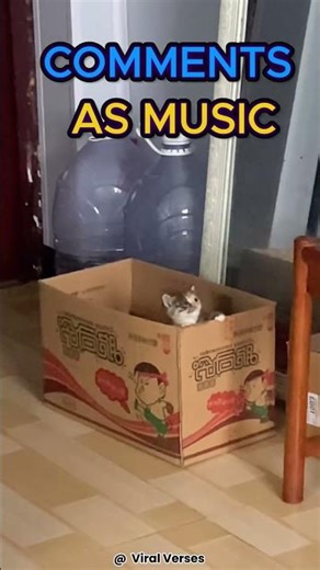 I turned these Cat comments into a RAP SONG! 🐱🔥 #Shorts