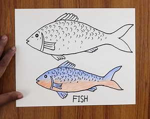 29K views · 171 reactions | Easy draw beautiful fish step by step | Art School | Facebook