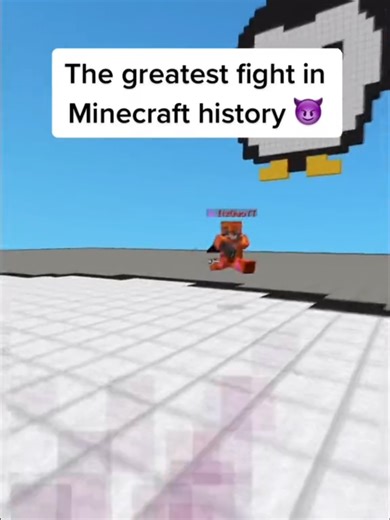 Epic Minecraft PvP Fight Showcase