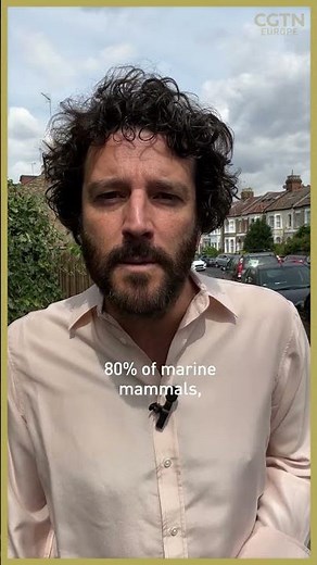 Are cats ‘aliens’ and a danger to society?