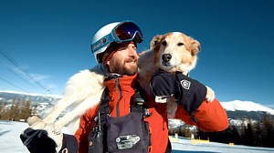 452K views · 2.4K shares | When an avalanche strikes, speed is of the essence for search and rescue workers -- of any species. A trained dog can do the work of 30 human rescuers in the same amount of time, and that's why partnerships like the one between Hunter Mortenson and Tali at the Breckenridge Ski Resort are so important. | Great Big Story | Facebook