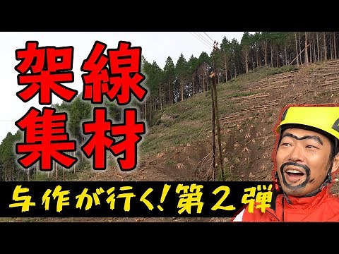 【凄すぎて唖然...】日本が誇る技術！『架線集材』｜与作が行く！第二弾【五木村森林組合】