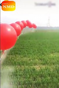 10K views | Creative in agriculture | He&She Apparel | Facebook