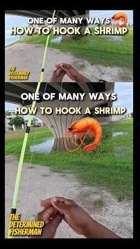 How to Hook a Shrimp - one of many ways