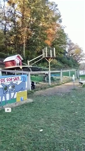 Enchanted Valley Acres Cross Plains, WI 2022