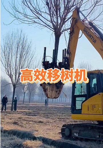 Efficient Tree Mover: China’s Innovative Tree Spade
