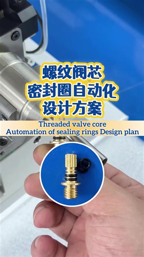 Technical Case Study on Seal Installation#sealingring #automationequipment #technicalsharing #originfactory #threadedvalve