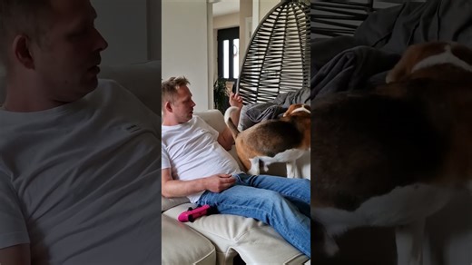 A working beagle makes every task more entertaining