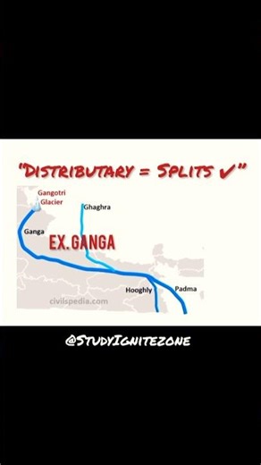 Tributaries vs Distributaries 🌊 #shorts