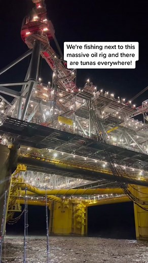 Deep Sea Fishing Opportunities Near Oil Rigs