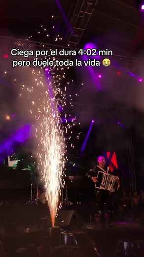 Ciega por el - Los Buitres de Culiacán: Letra completa de la canción