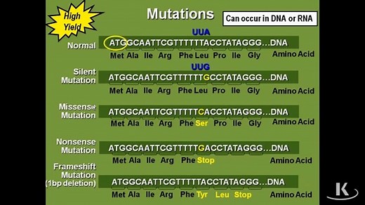【USMLE step1】【Kaplan medical】【Biochemistry】