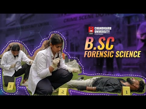 Explore the B.Sc. (Hons.) Forensic Science program at Chandigarh University-Uttar Pradesh Campus