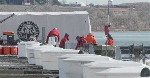 Spawn collection effort has become an annual spring tradition at some Colorado reservoirs