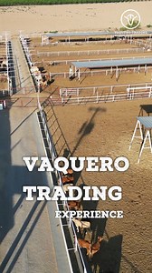 2K reactions · 5 comments | Smart strategies. Proven results. From planning to logistics, we keep your operation riding steady. #VaqueroTrading #Cattle #CattleIndustry | Vaquero Trading | Facebook