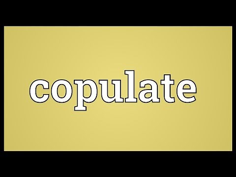 Copulate Meaning