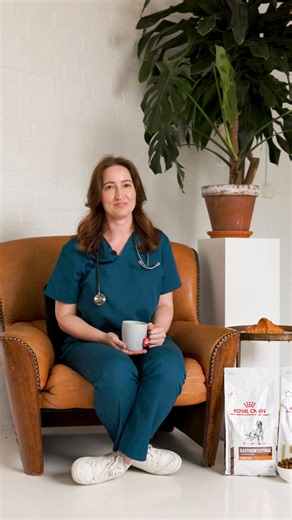 3.9K views · 272 reactions | Dr. Bron lets us know about why you don't need the added extras with the Royal Canin diets. | Royal Canin | Facebook