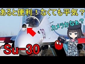 【兵器解説】このSu-30戦闘機の機首についているものはなんだろう？