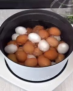 245K views · 1.6K reactions | The Best Egg Rolls Step By Step Tutorial | Rozy's Kitchen | Facebook