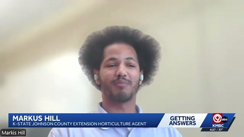 Raking vs. mulching: Options when cleaning up leaves in your yard