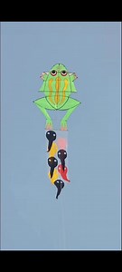 Frog and her children🤣 | Si Yuan Sun