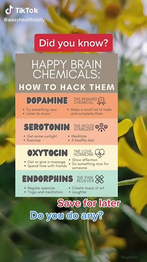 Understanding Happy Brain Chemicals: Dopamine, Serotonin, Oxytocin, and Endorphin