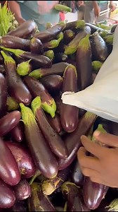 VANAF 11.00uur ALLE BLADGROENTEN SRD 10,- PER BOS🥬🥬🥬🥬🥬 GOMAWIRI KAISOI AMSOI KLAROEN TAYERBLAD KLAROEN BITTAWIRI DAGOEBLAD ENZ | Rubim Markt