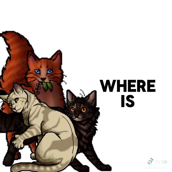 Rowanclaw and the Mystery of Brambleclaw Explained