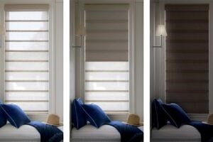 Hunter Douglas Dual Shades for Your Every Light and Privacy Needs