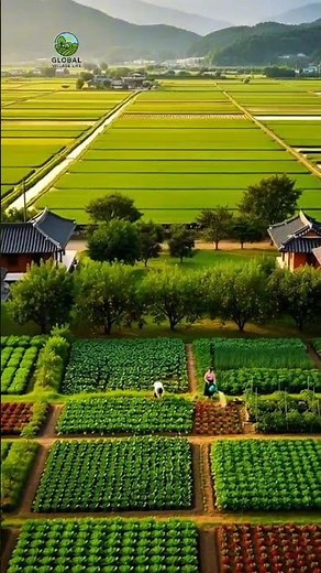 Life in a Quiet Korean Village | Peaceful Green Countryside