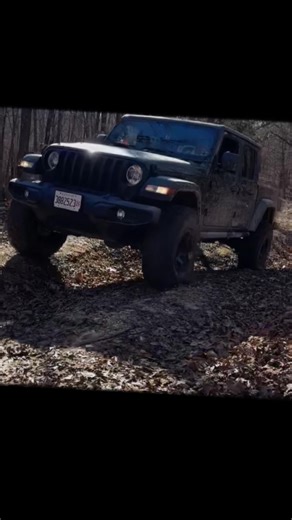 A little trail ride in the #jeep ❤️ #kentucky #landbetweenthelakes #jeeplife #nature 🐿️ OlllllllO