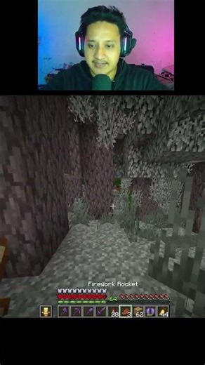 meeting with Creaking #minecraft #gaming #hamplu