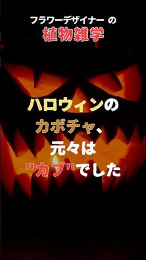 ハロウィンのカボチャ、元々は"カブ"でした「ジャック・オー・ランタンの真実」 #モエチャン #ハロウィン #植物の裏側