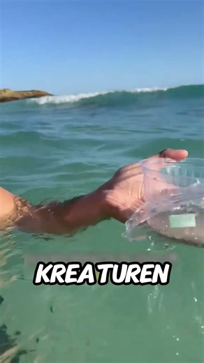 Diese winzige blaue Kreatur hätte ihn fast getötet 😱