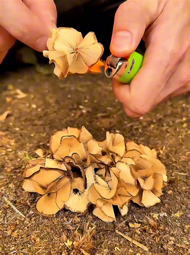 Survival Skills For camping 🏕️ in wild forests 🌳🌿🌴#bushcraft #camping #outdoors #survival #usa🇺🇸