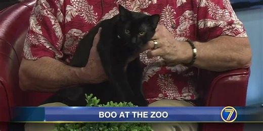 ‘Boo at the Zoo’ this weekend & next
