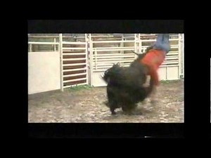 UPN last commercial breaks 9-15-2006 2