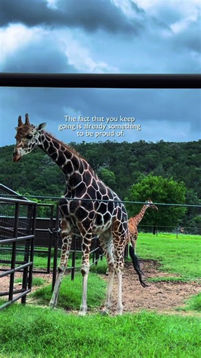 Some days you crawl. Some days you conquer. Either way, you keep going. And that’s the win. 🤍🔥 #KeepGoing #StillStanding #Resilient #MotivationDaily #InnerStrength
