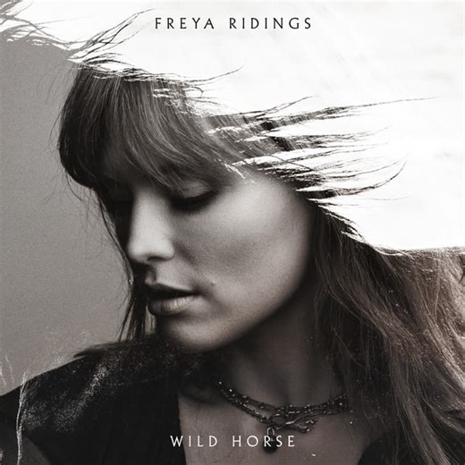 Freya Ridings - Wild Horse Lyrics