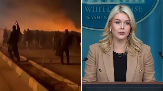 Iran halted 800 protester executions: White House